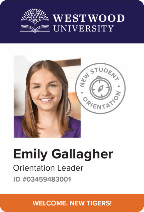 دانشکدهها / دانشگاهها